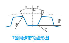 T齒同步帶輪齒形圖